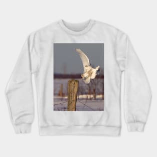 Snowy Owl on post Crewneck Sweatshirt